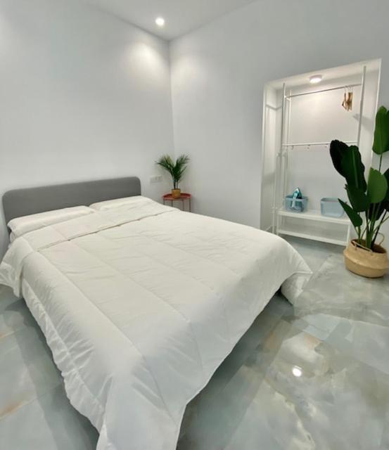 Appartement Isasa
